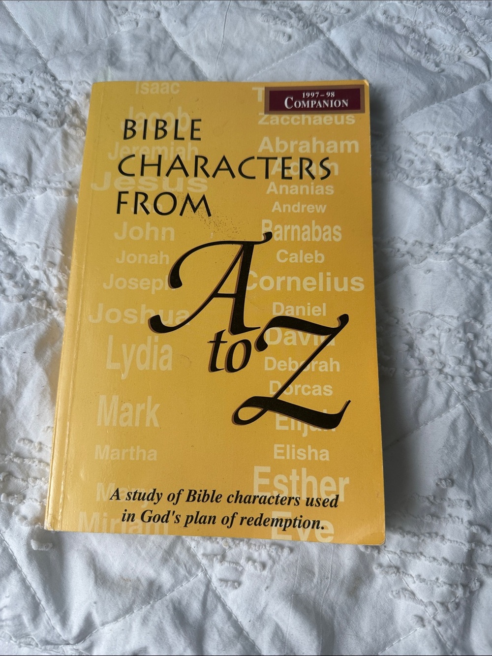 bible characters book